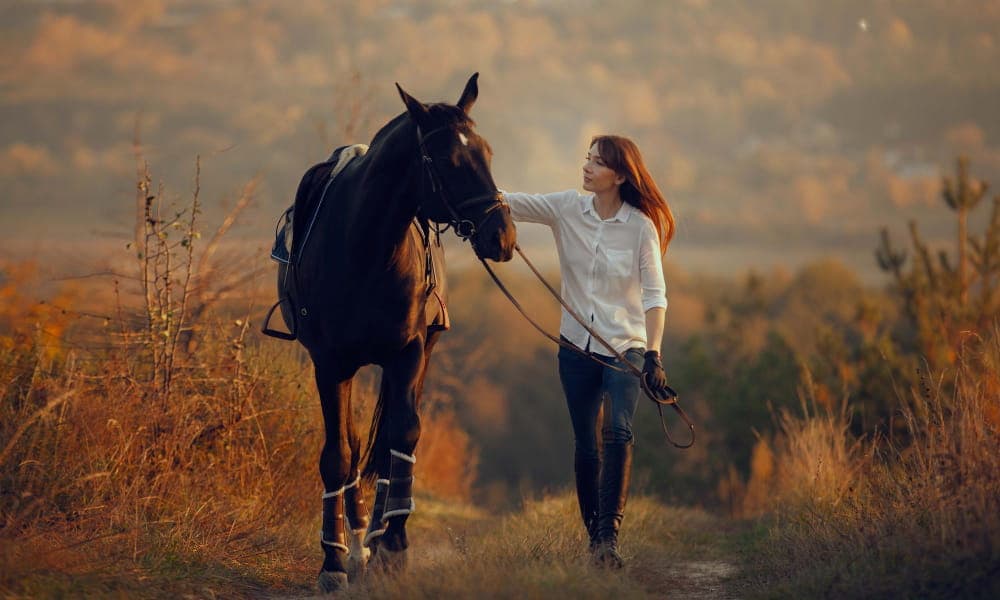 Rešpektuje váš kôň osobný priestor?